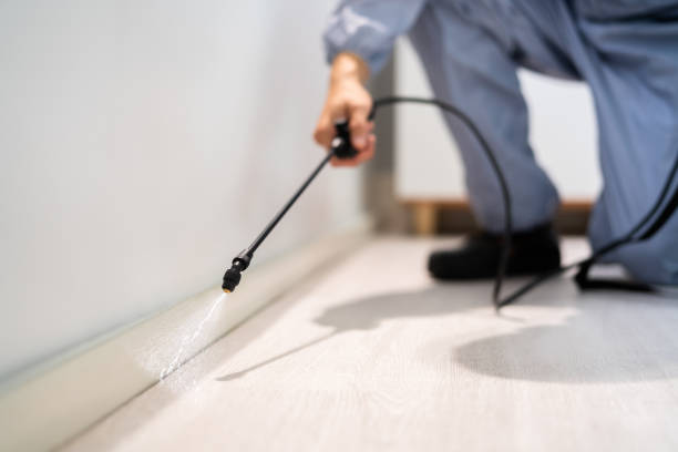 Licensed Mosquito Control service in Buchanan, VA - Show Me Pest Control