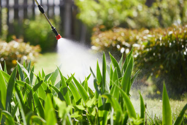 24/7 Emergency Mosquito Control experts in Buchanan, VA