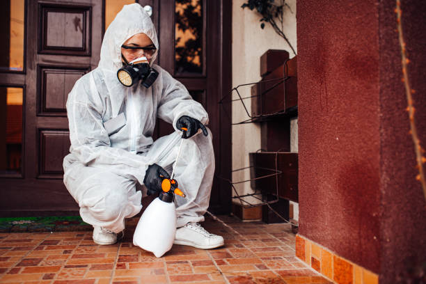 Reliable Mosquito Control contractor in Buchanan, VA by Show Me Pest Control
