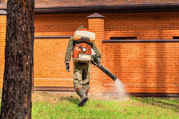 Top rated local Mosquito Control specialists in Buchanan, VA